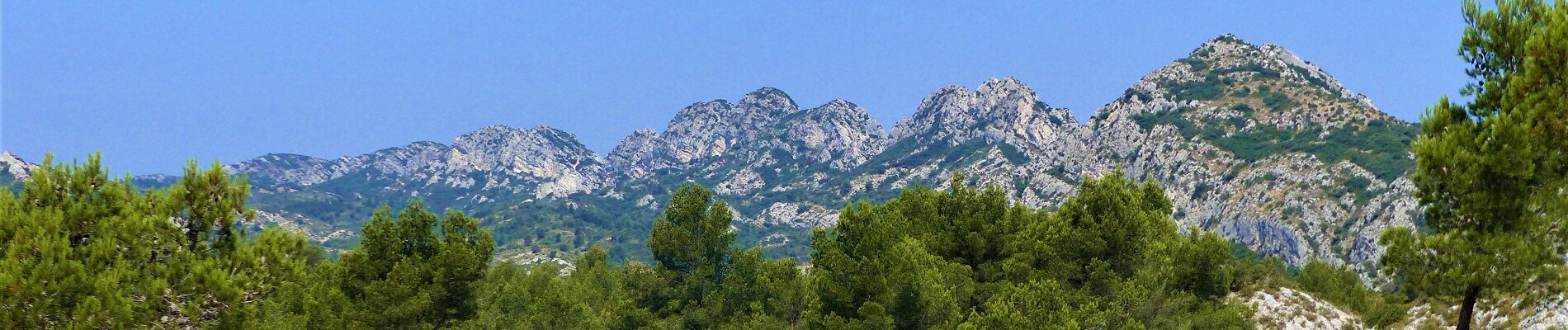 Paysage – PNR Alpilles