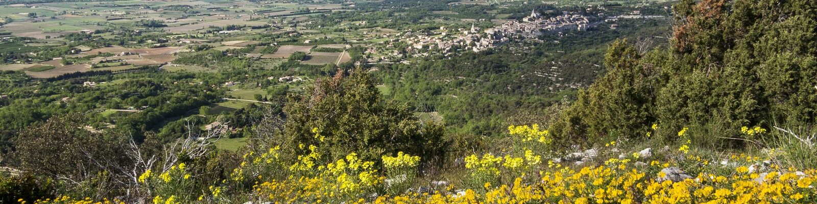 Vue sur Bonnieux depuis les cretes du Petit Luberon